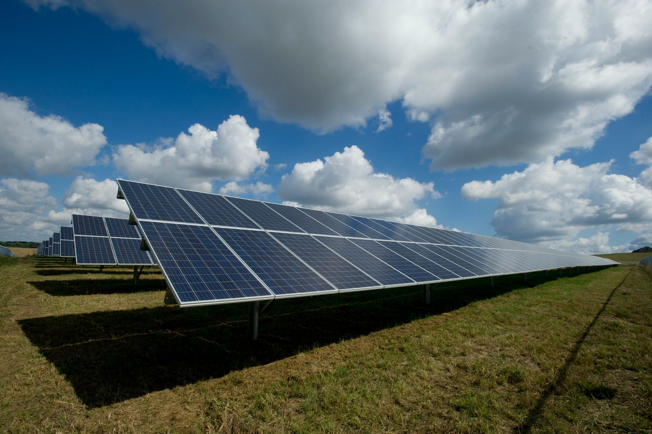 Rows of solar panels under a bright blue sky with white clouds