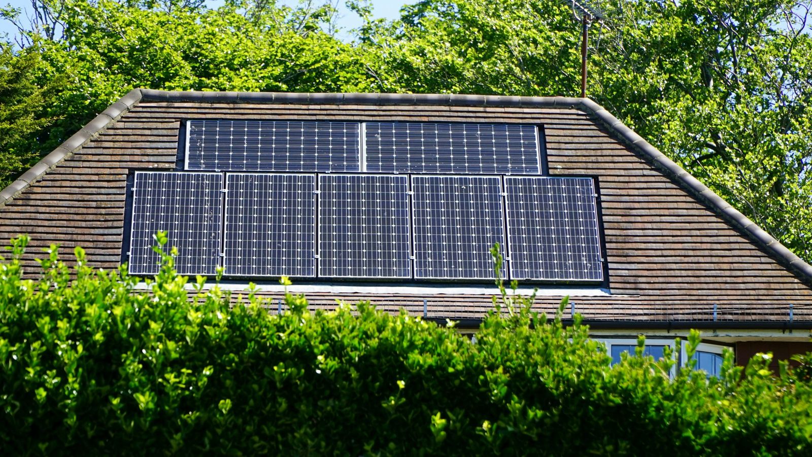 Seven solar panels on a pitched tile roof surrounded by trees
